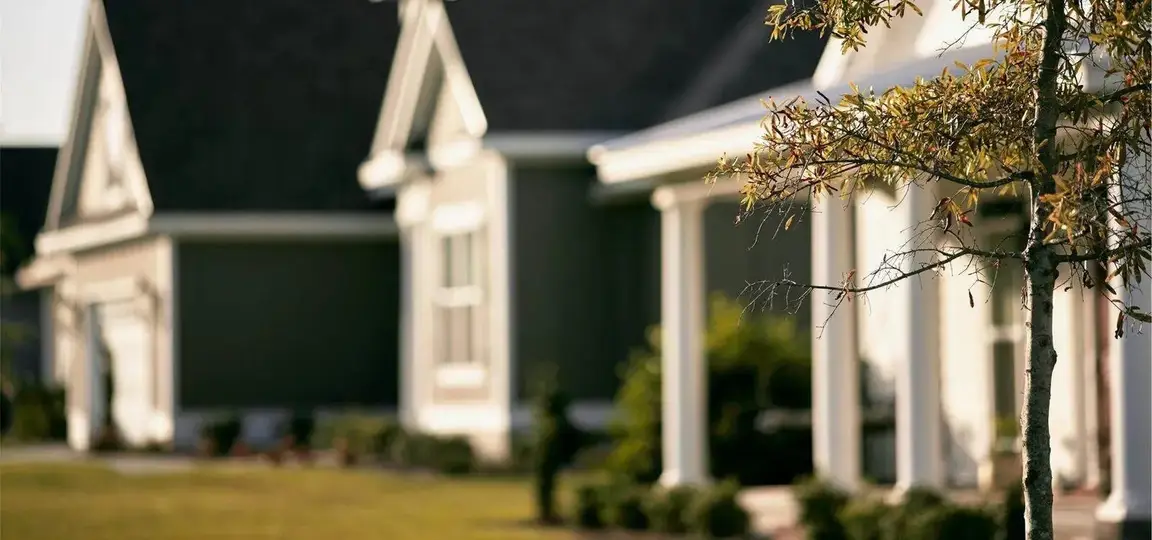 Small tree as focal point with suburban homes in background