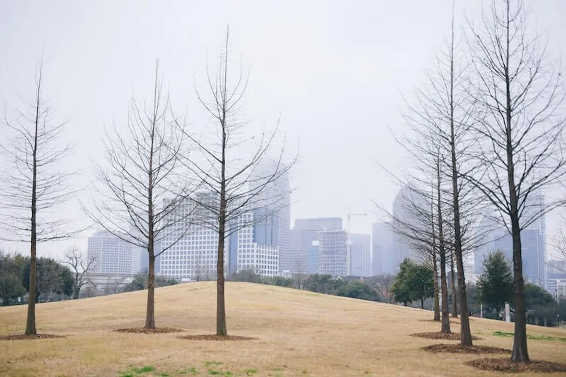 Downtown Dallas in winter