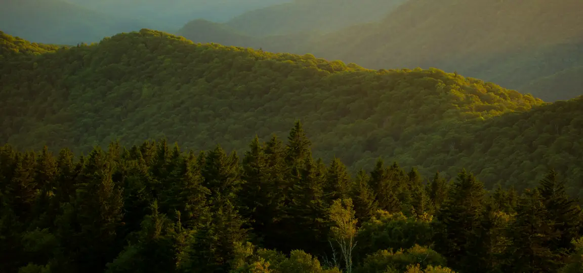sell my land tennessee