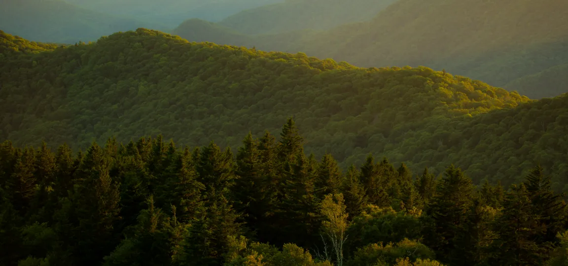 sell my land tennessee