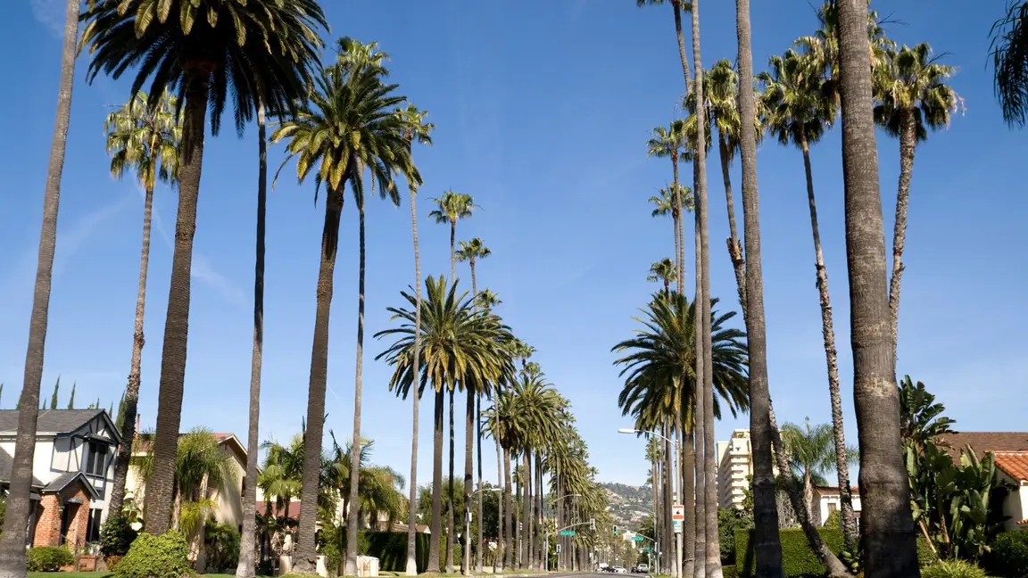 we buy houses in Hollywood CA