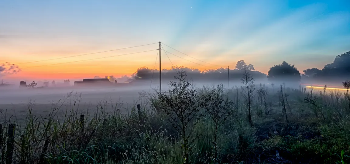 sell my land south carolina