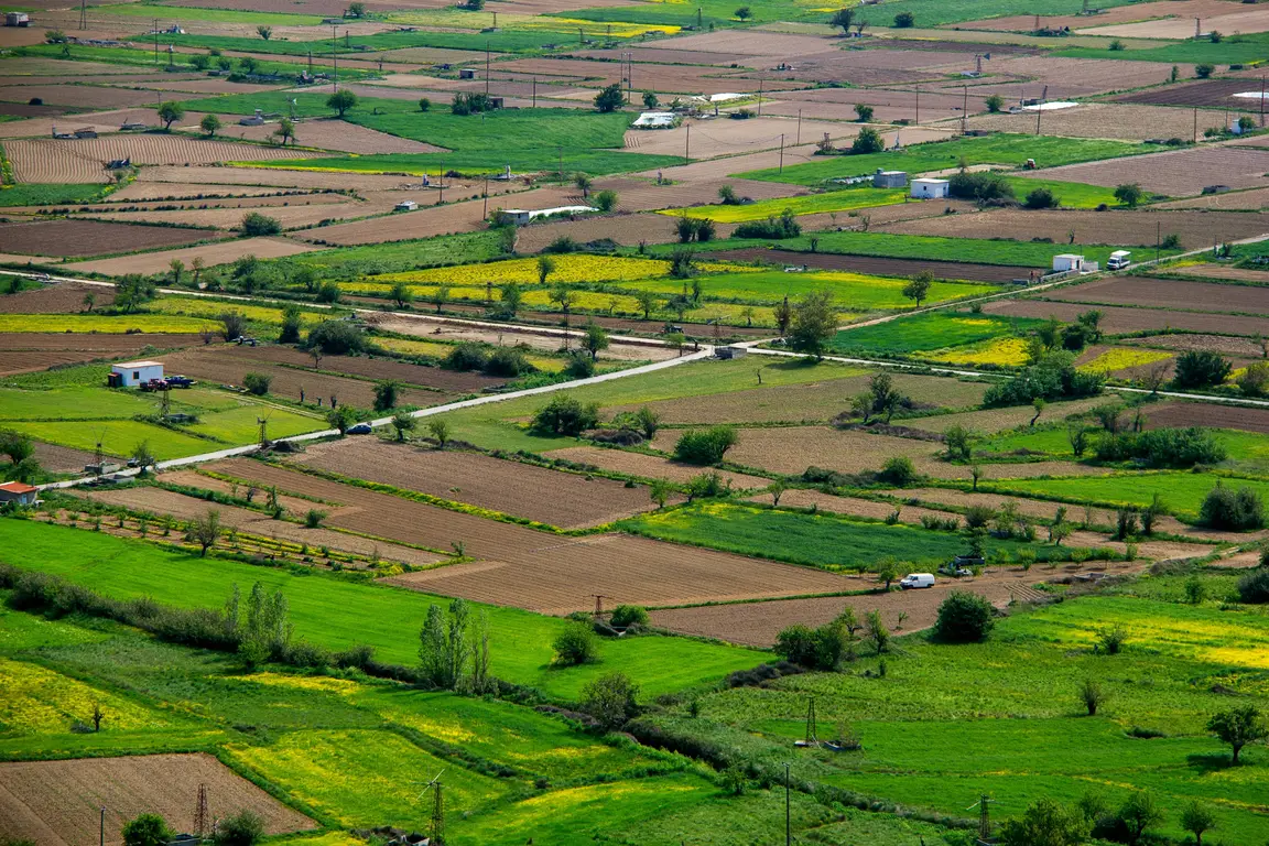Tips To Find Land Buyers - Vacant Lot