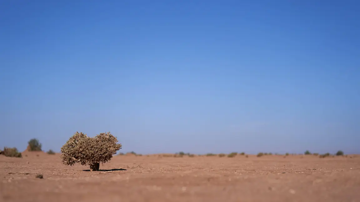 How To Buy Cheap Land - Vacant Land