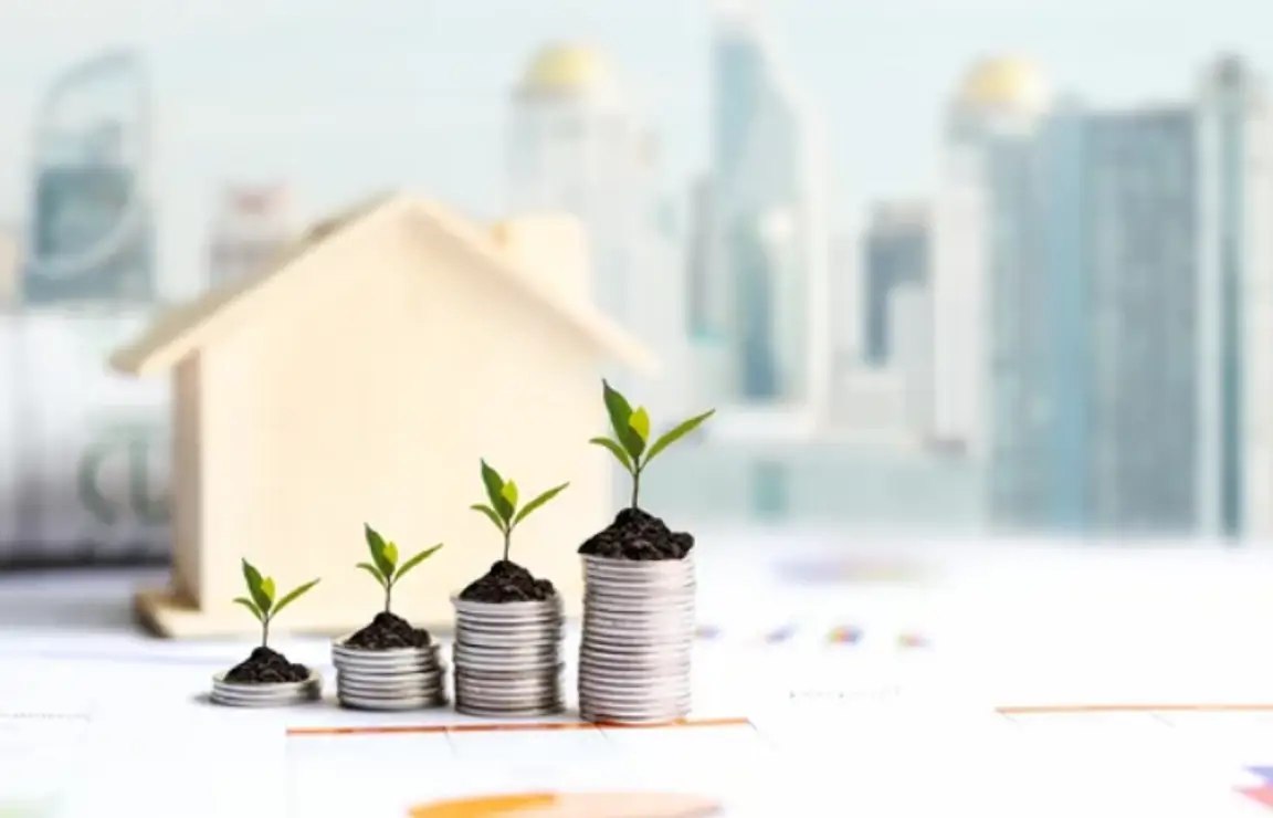 Invest in Rental Property Post COVID-19- coins