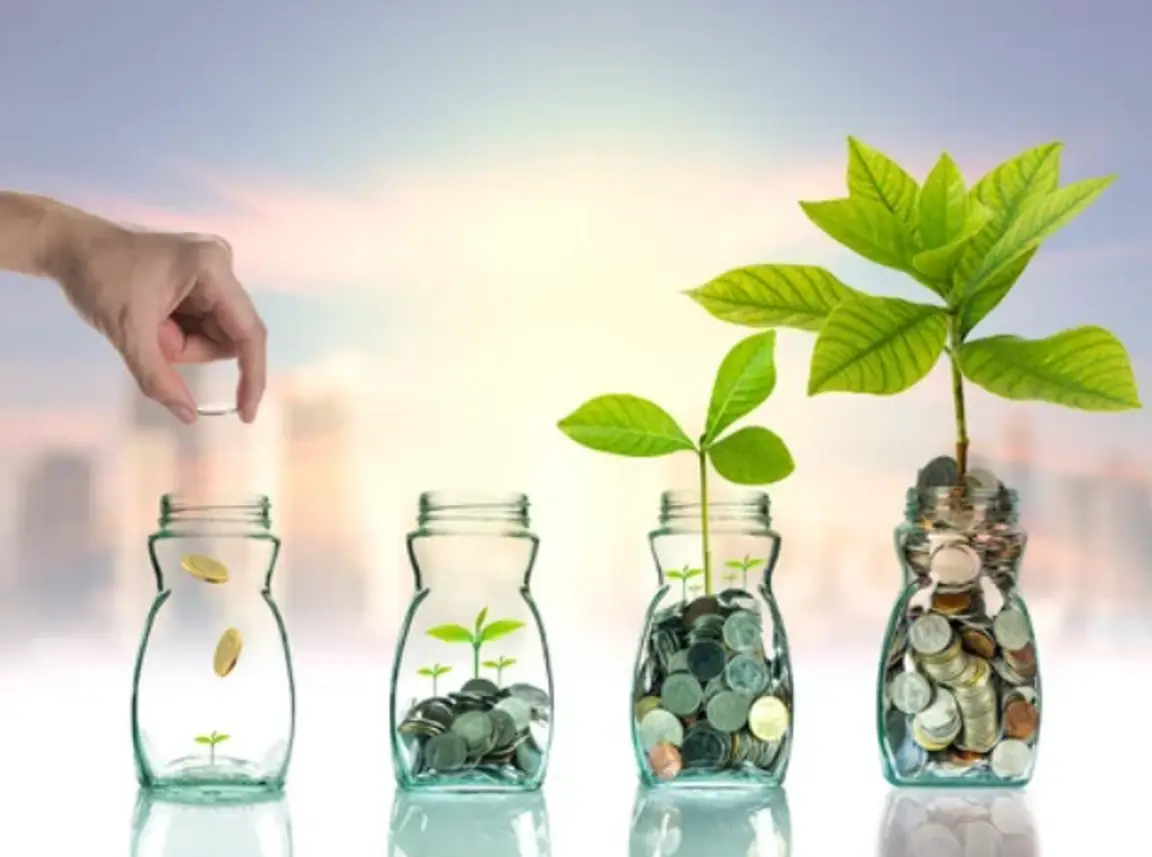 Buying Your First Investment Property - Plant