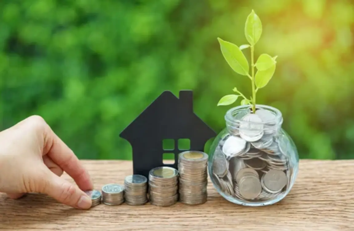 How Much to Spend When Buying Investment Property - Plant