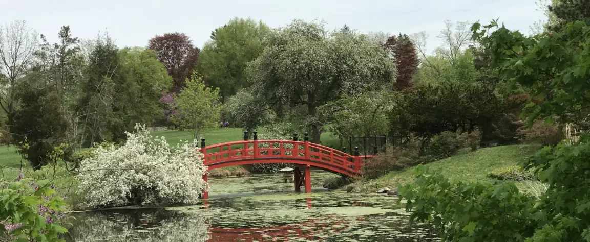 Red Bridge Over Pond in Hillsborough Township New Jersey