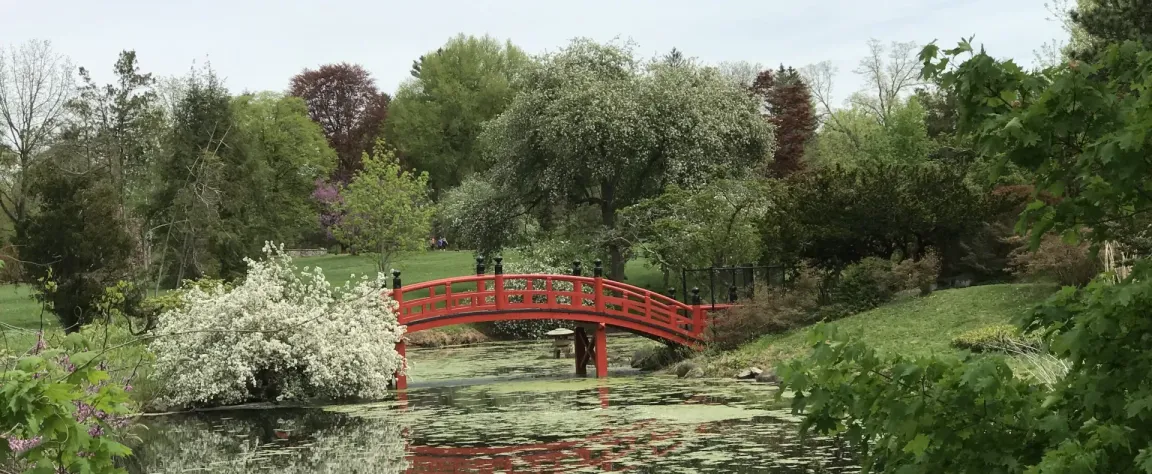 Red Bridge Over Pond in Hillsborough Township New Jersey