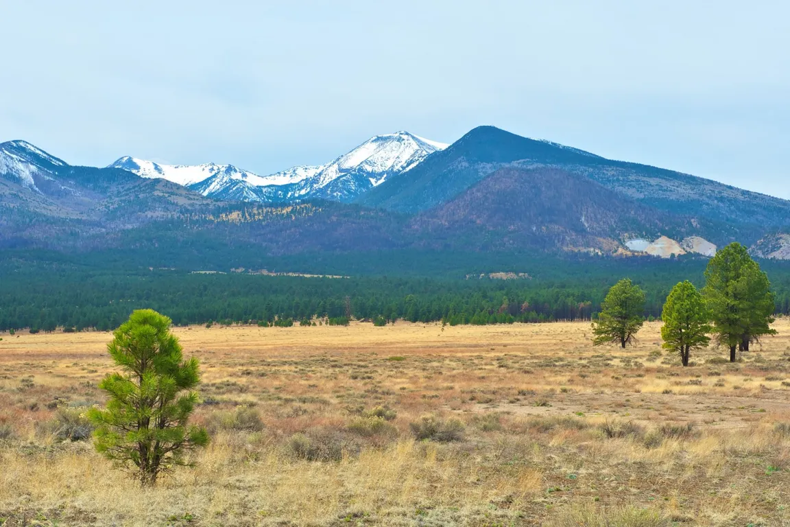 Flagstaff AZ We Buy Houses