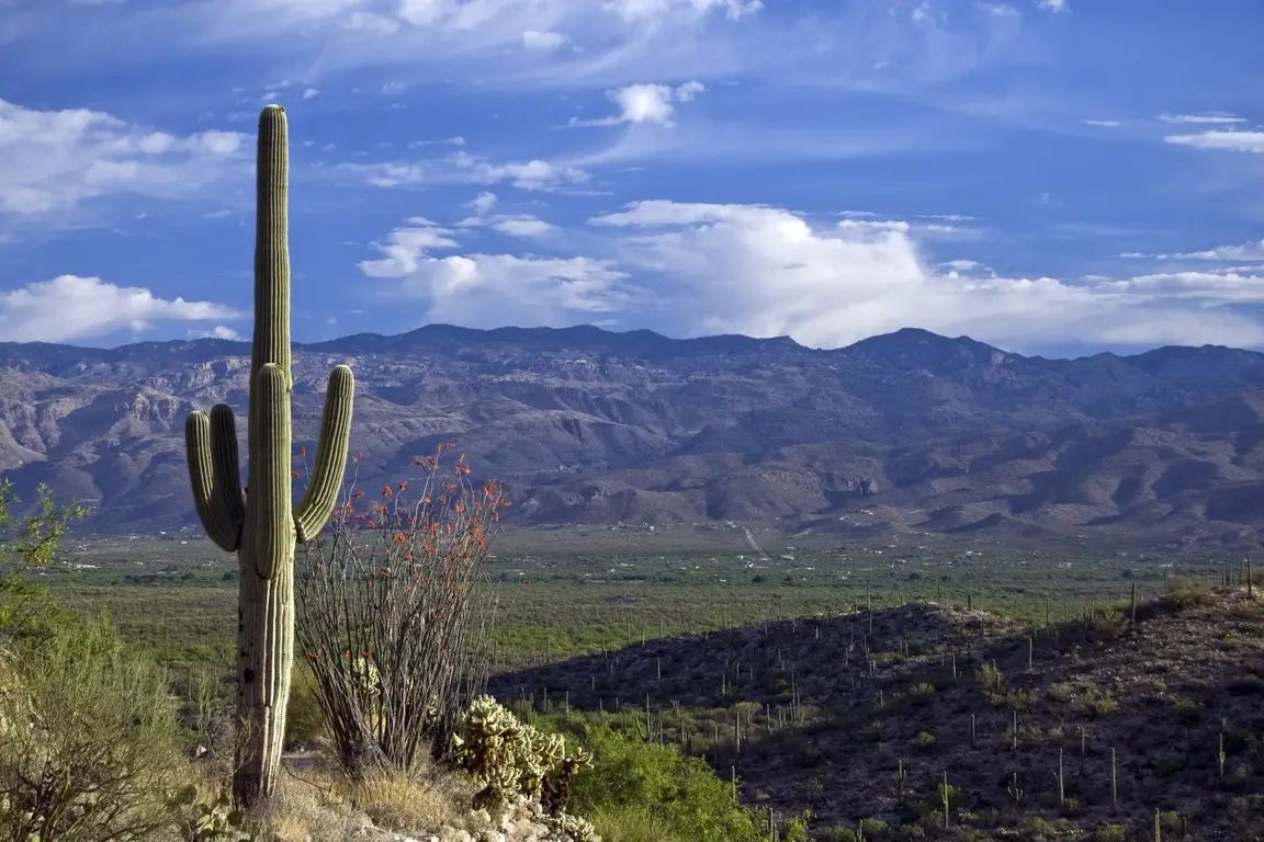 Tucson Arizona_Sell House Fast