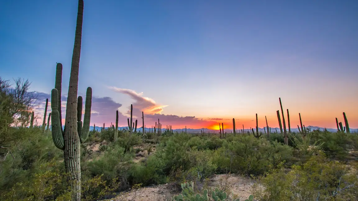sell tucson land fast