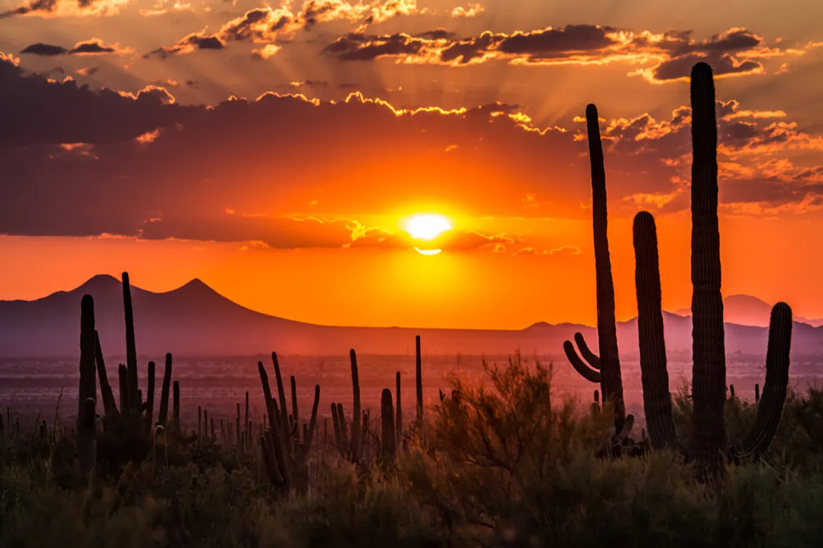 arizona