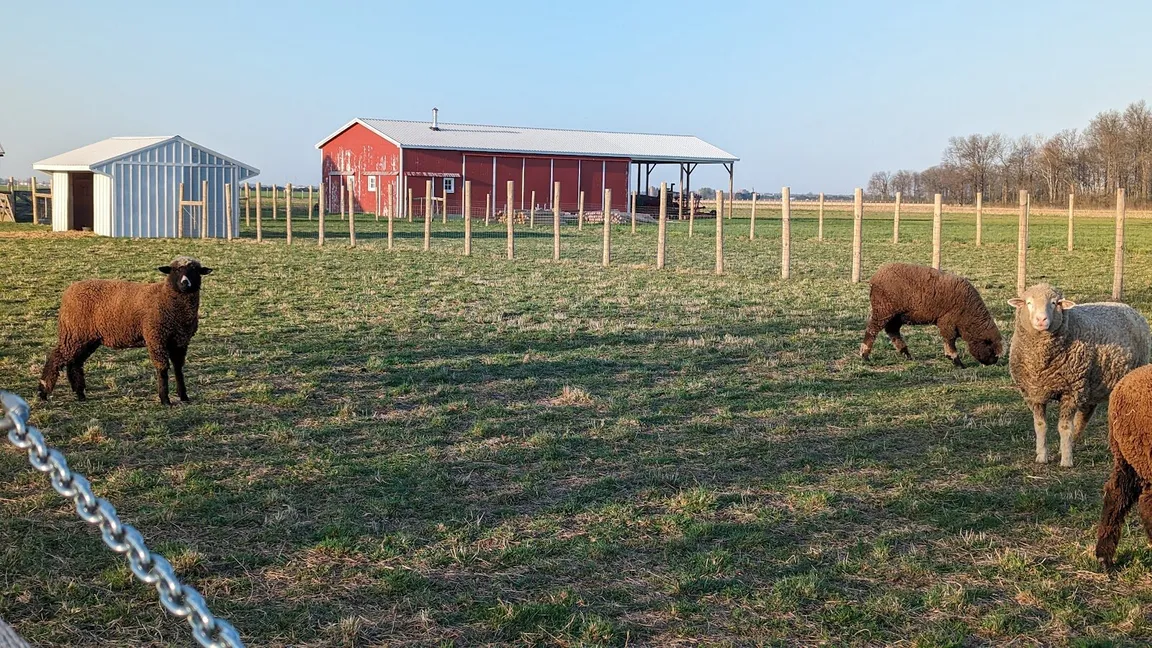 Sell my house fast in Dunbridge OH