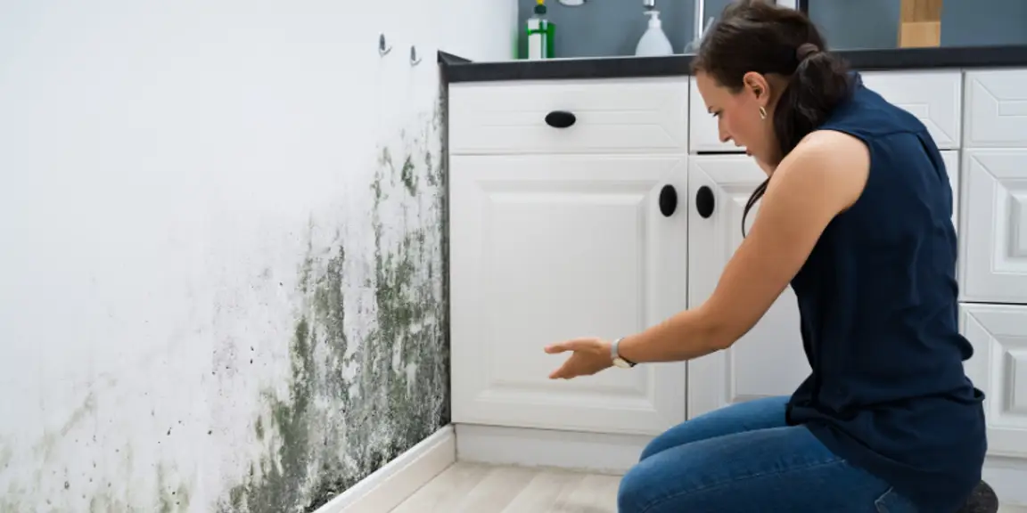 How to sell house with mold issues Massachusetts