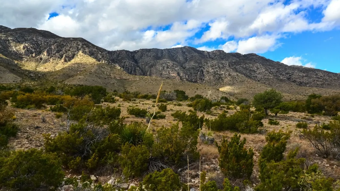 We Buy Land For Cash In San Antonio, Texas