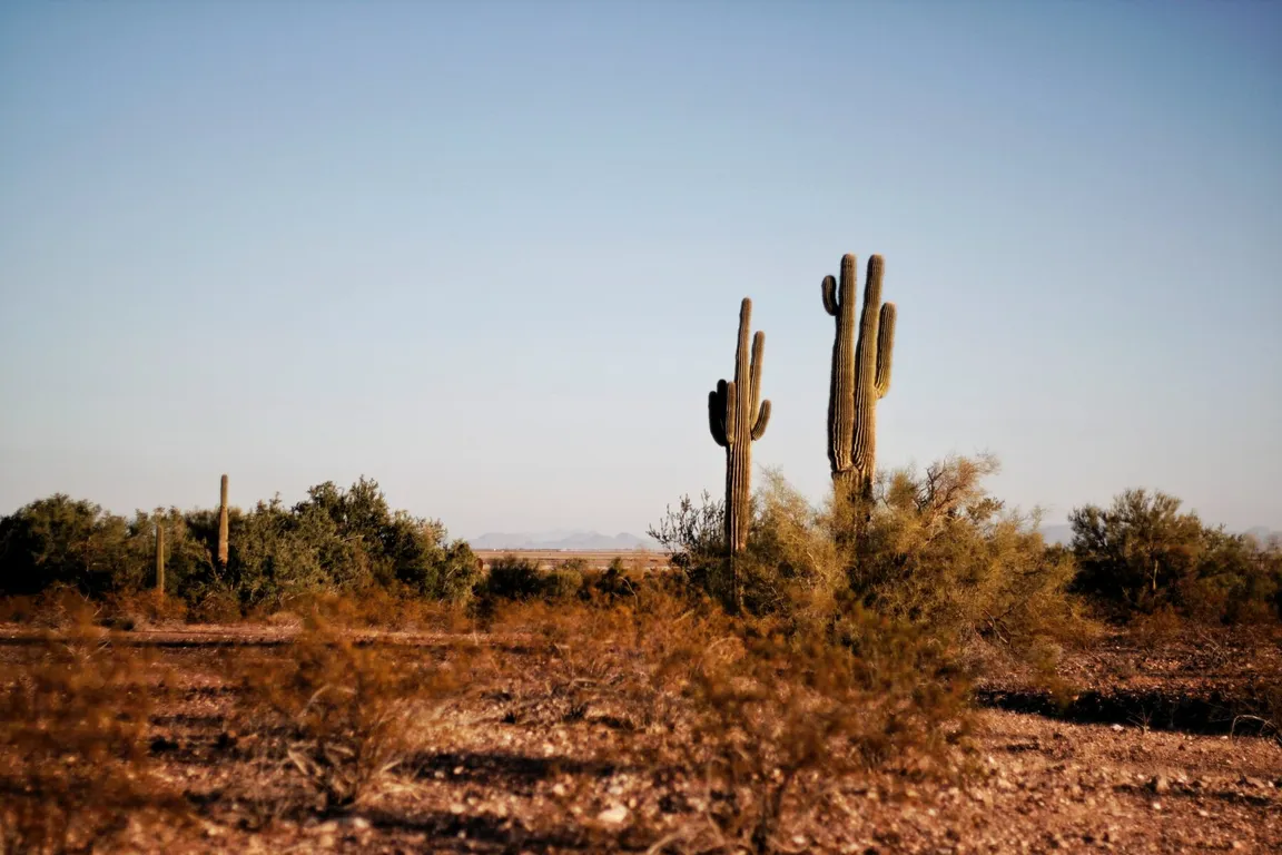 Arizona-commercial-note-buyers