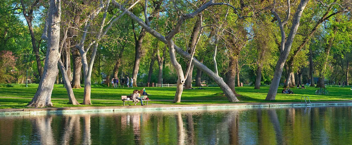 Bidwell park background