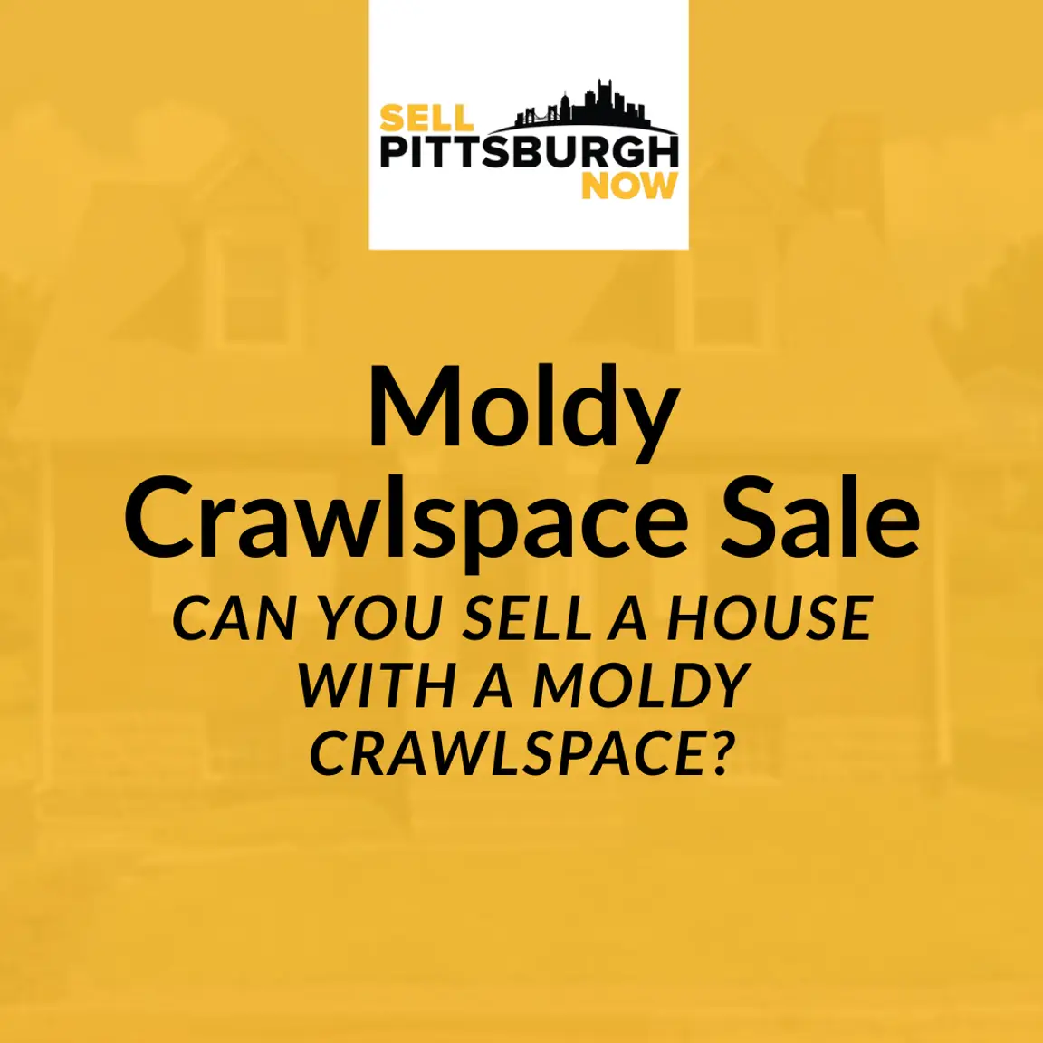 Can You Sell a House With a Moldy Crawlspace