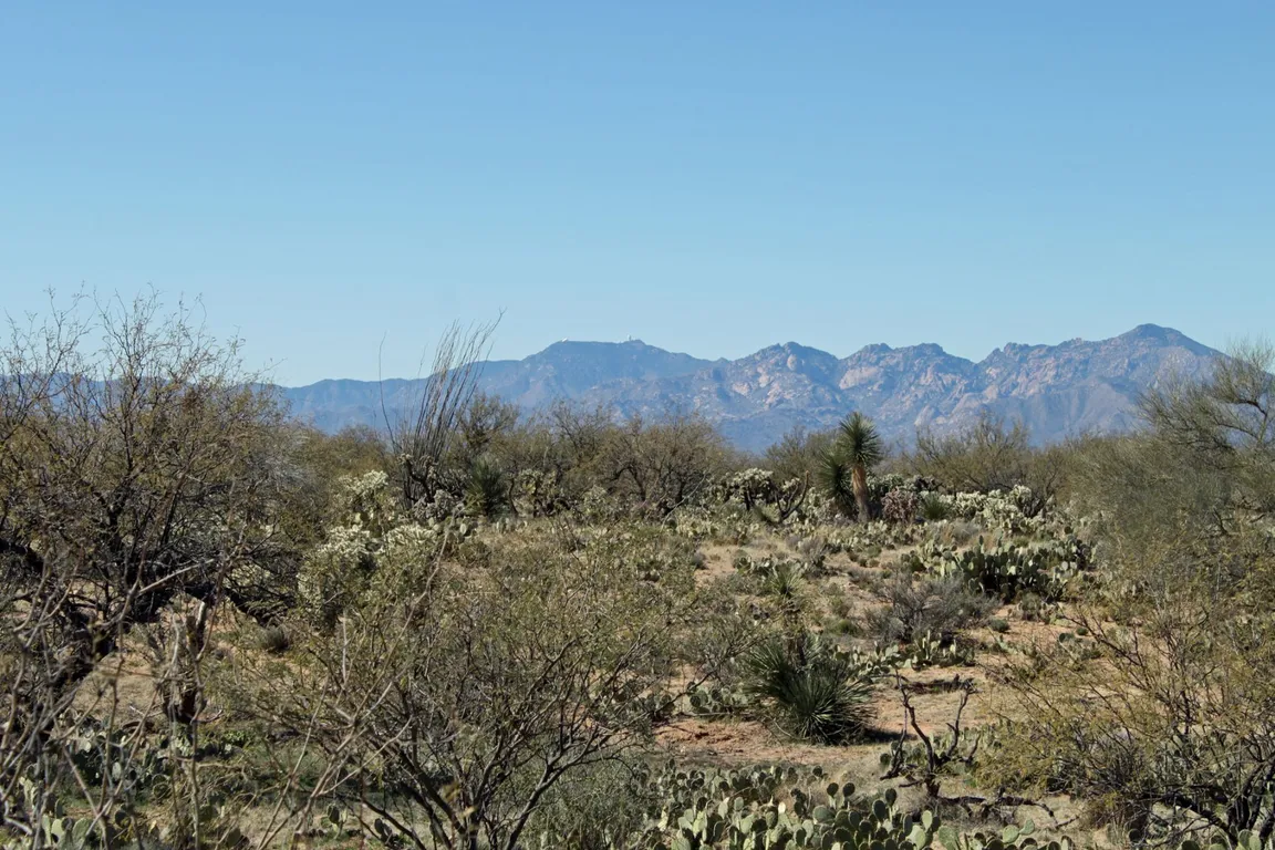 diamond bell ranch lot