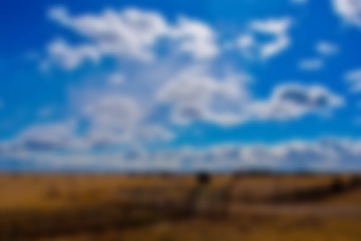 we buy your land Texas Texas