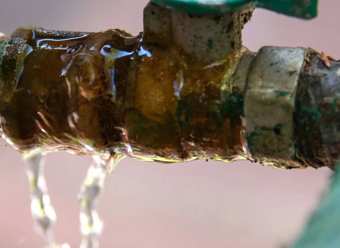 Seller Omitted Water Damages Disclosure in Texas