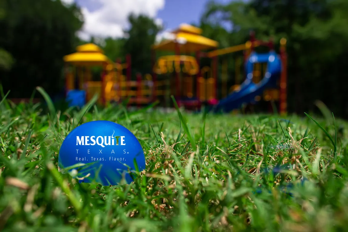 We buy houses in Mesquite TX