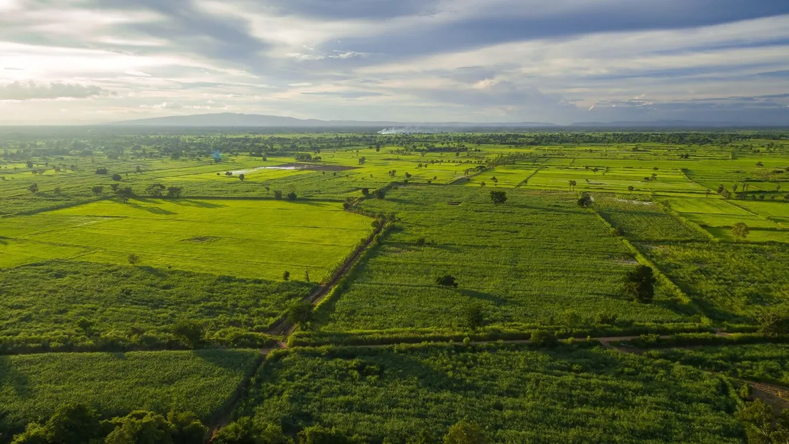 How To Sell Your Land In OK We Buy Land Cash!