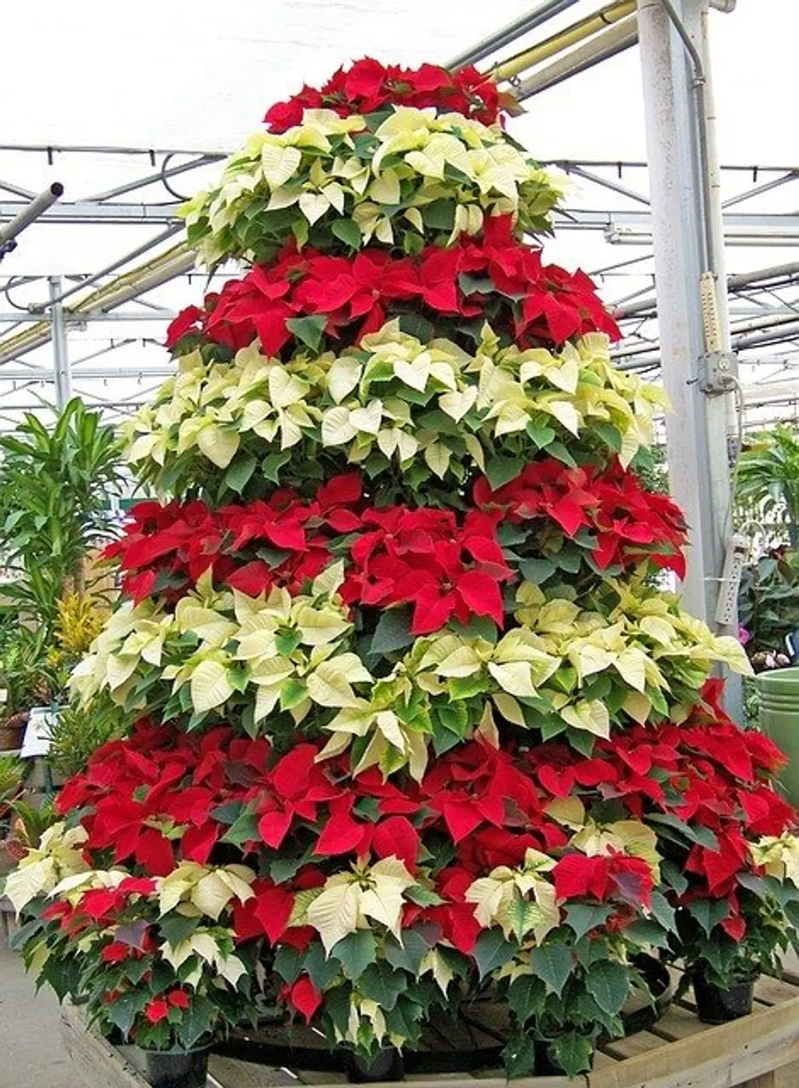 things to do this winter in Omaha Nebraska