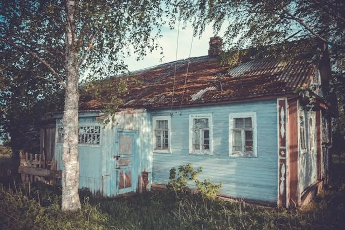 Selling a House with Termite Damage for Cash