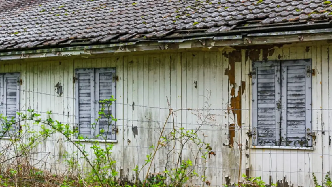 How To Sell A House With Mold Issues In WI