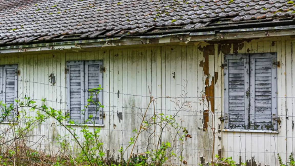 How To Sell A House With Mold Issues In WI
