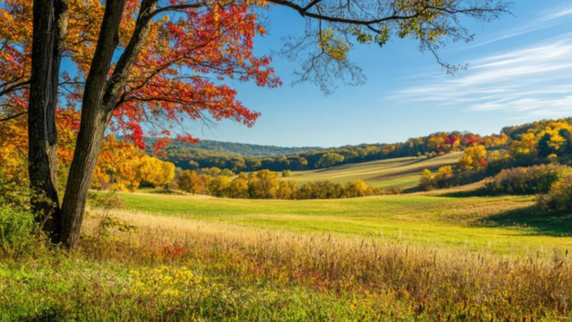 Sell Your Land In Wisconsin For Cash