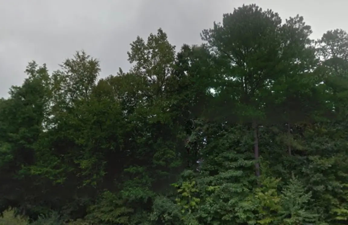 cheap land for sale in Apex NC