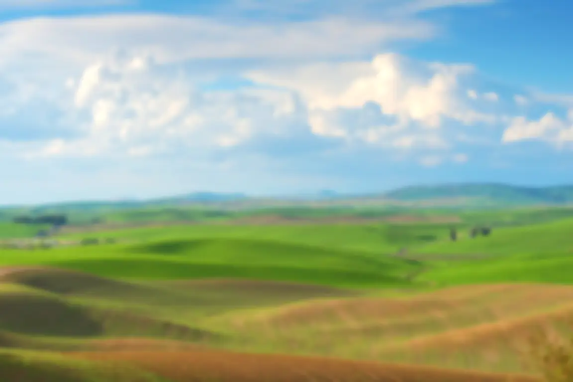 we buy your land Washington