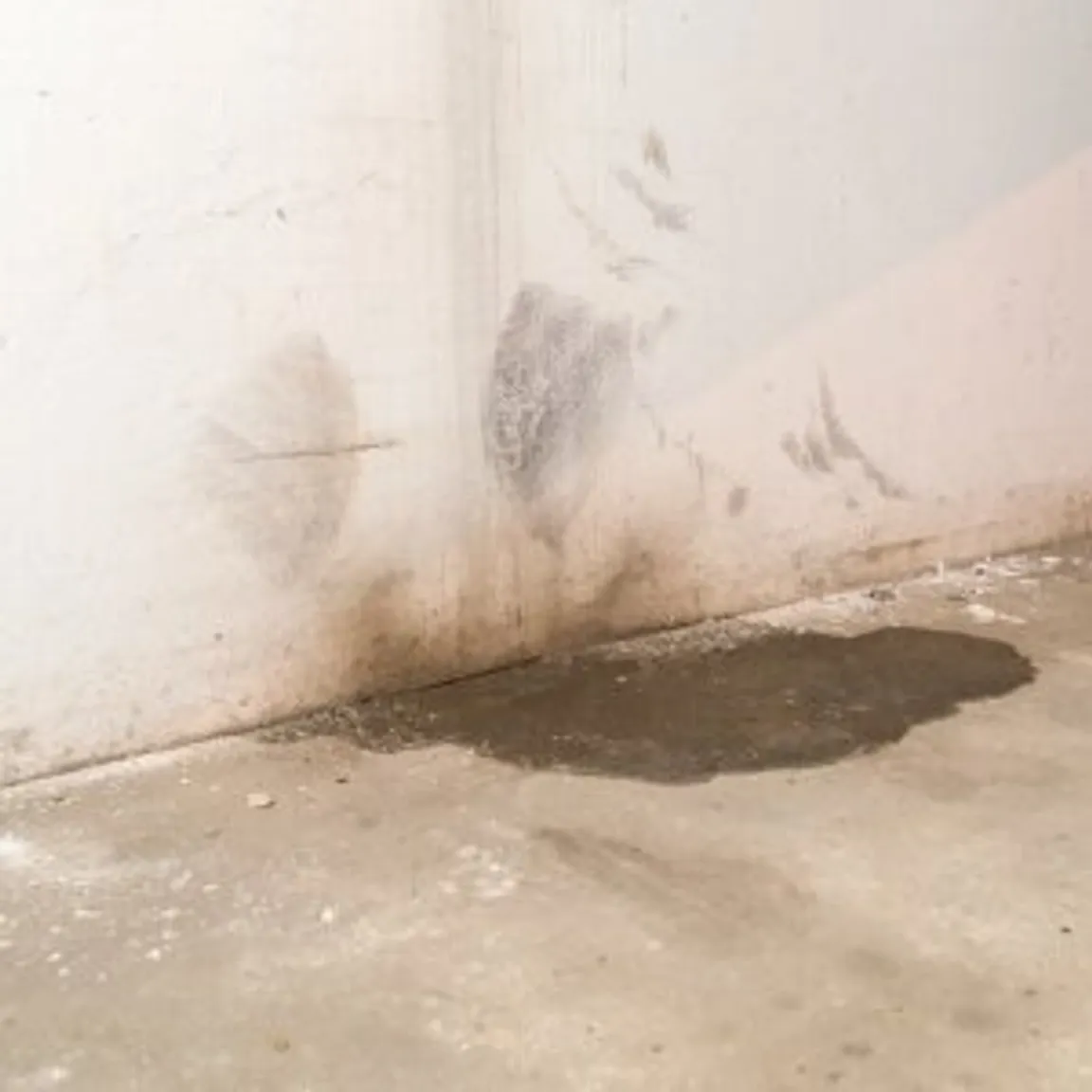 Problems With Having Water In The Crawl Space