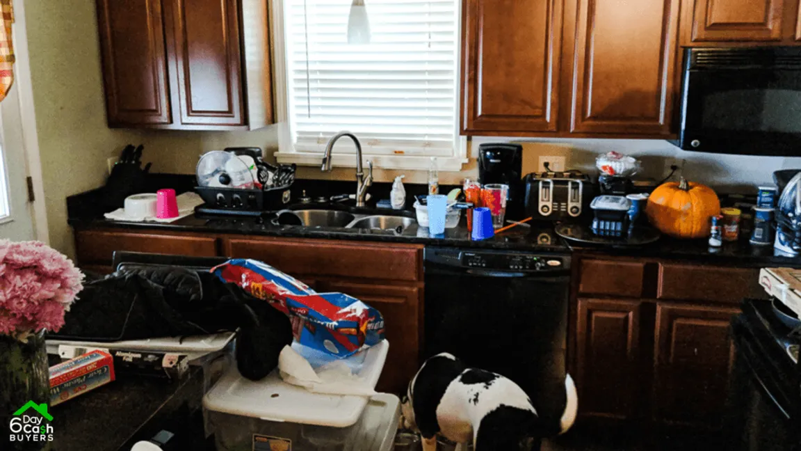 we buy houses as-is