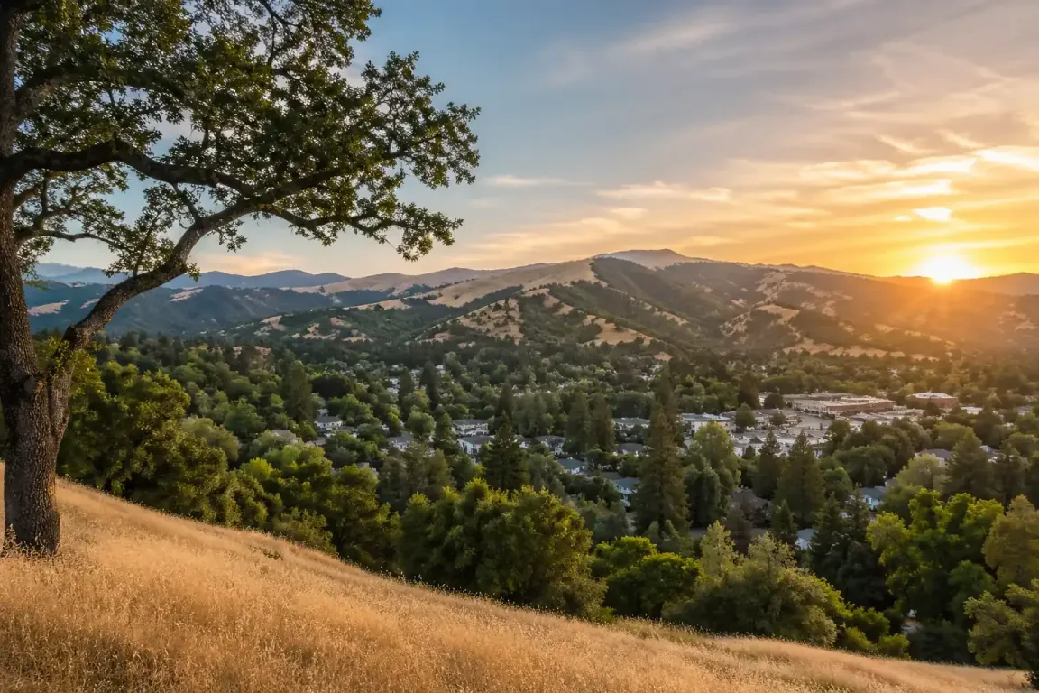 sell my house fast orinda ca hillside homes scenic neighborhood sunset view