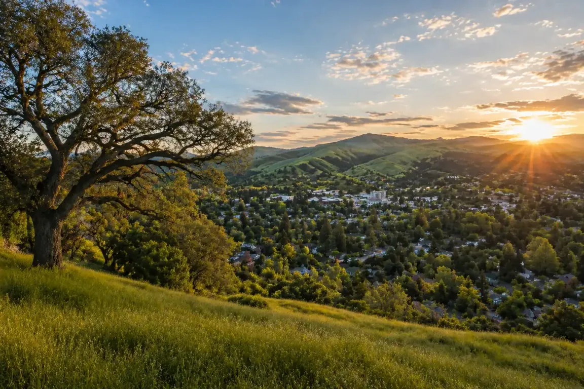sell my house fast lafayette ca residential neighborhood homes hills sunset