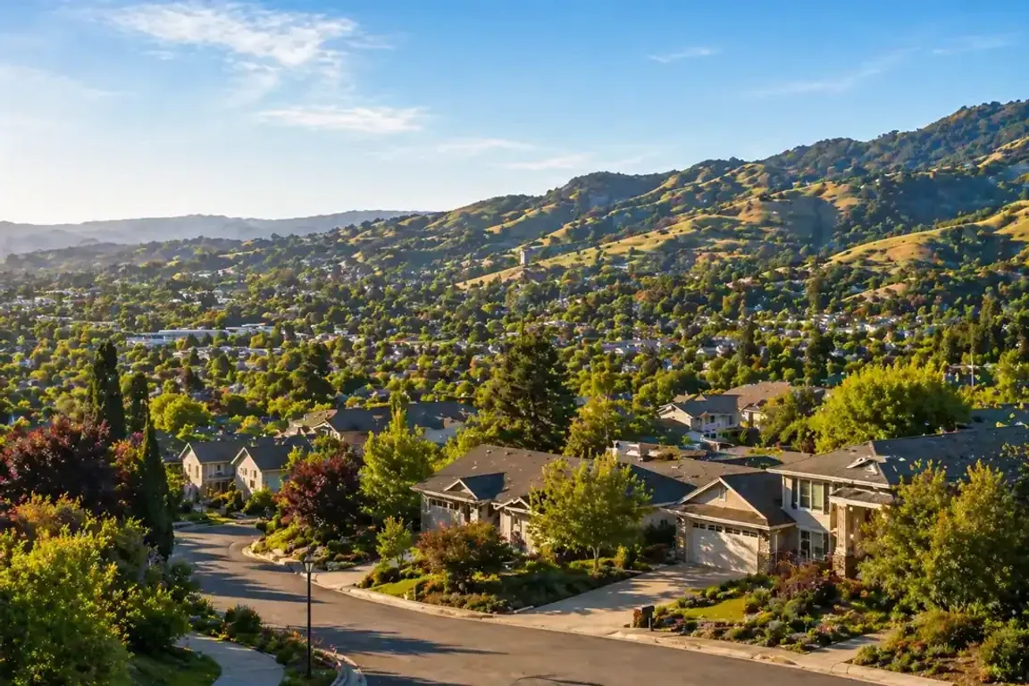 sunlit Novato CA hillside neighborhood with suburban homes and rolling hills representing local area for sell my house fast services