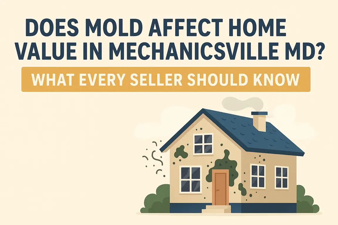 does mold affect home value in Mechanicsville MD