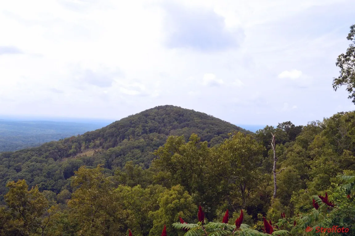 we buy houses Kennesaw GA
