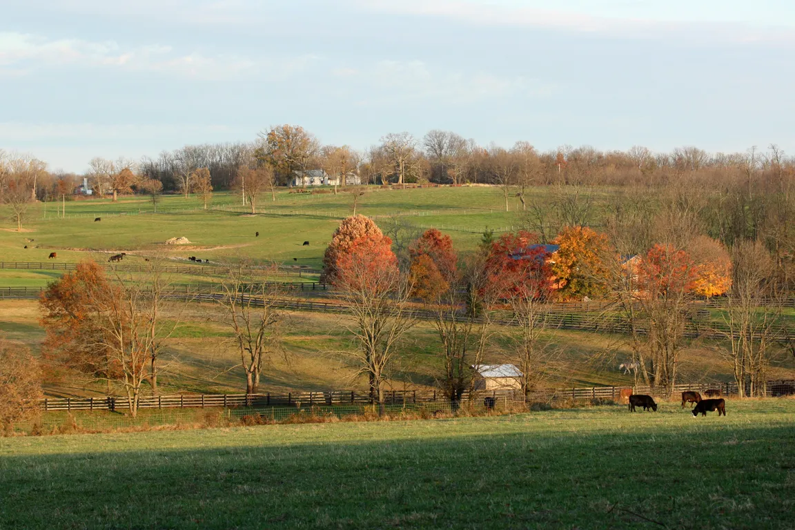 we buy vacant land Kentucky Kentucky