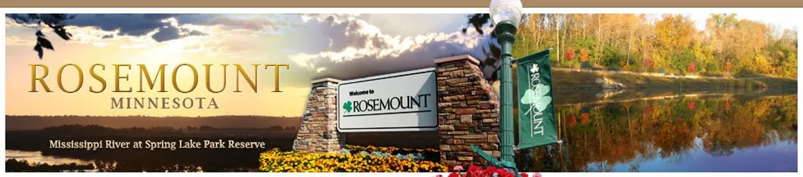 sell house as is rosemount mn