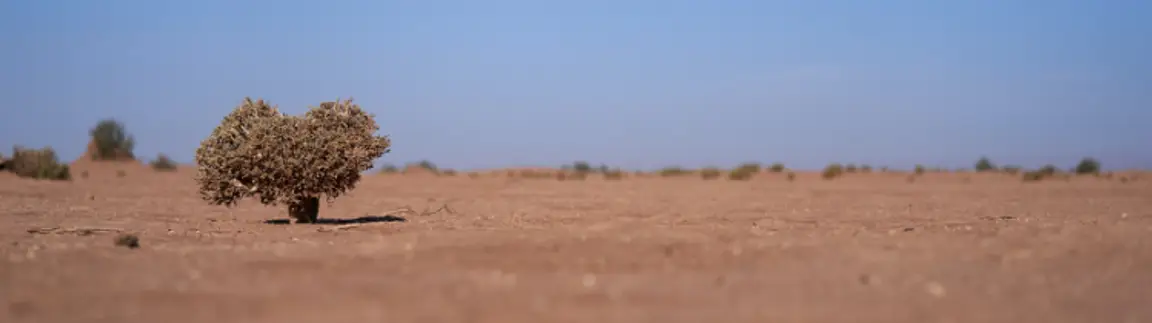 Sell Your Land