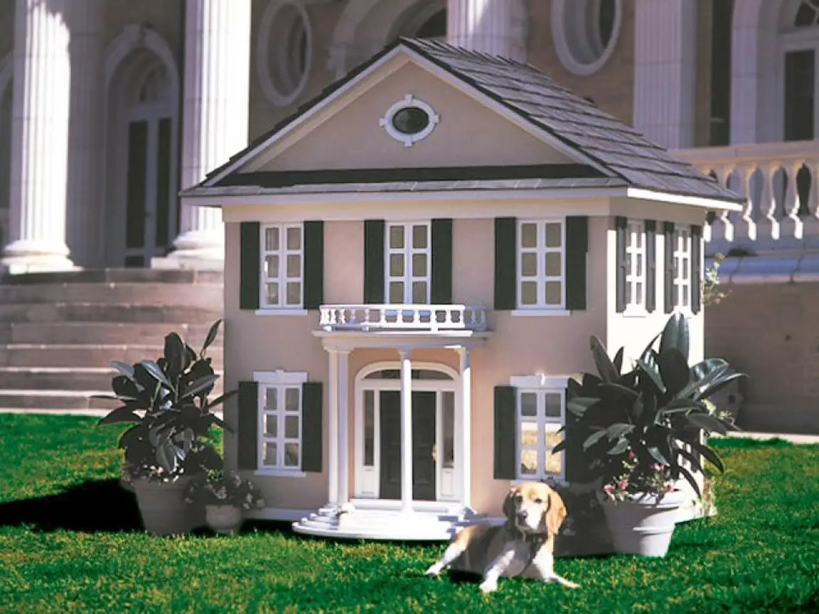 House and Dogs