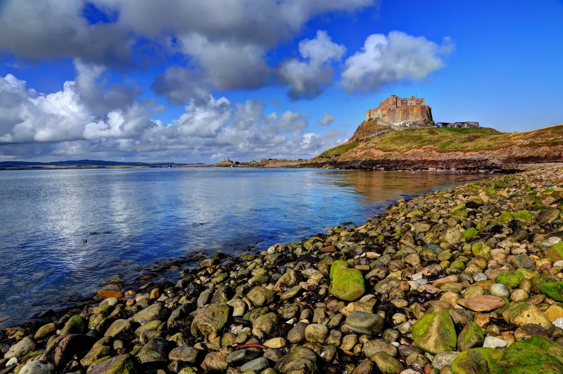 northumberland investment properties