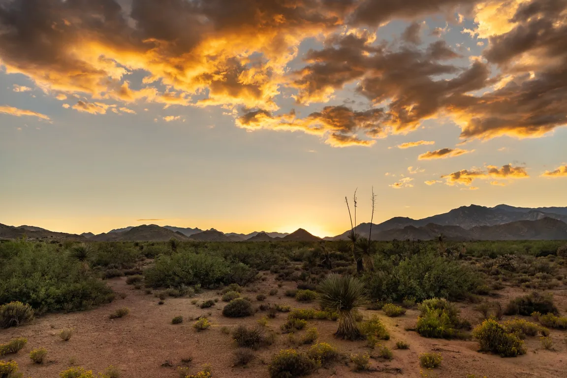 AZ