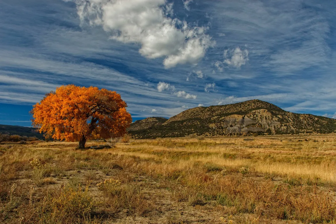 new mexico