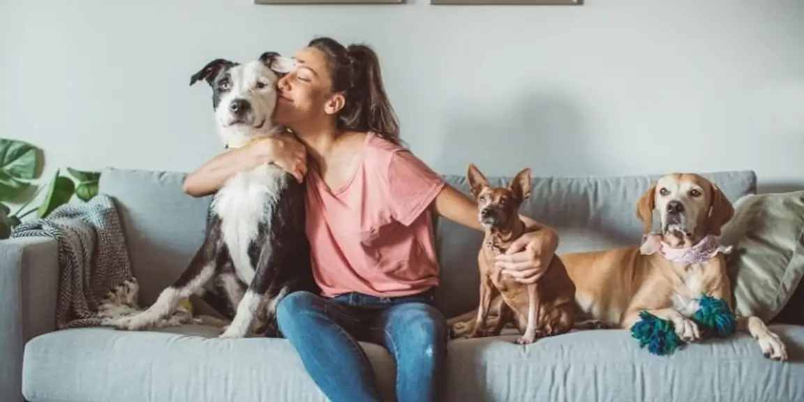 Common Types of Pet Damage That Affect Home Sales